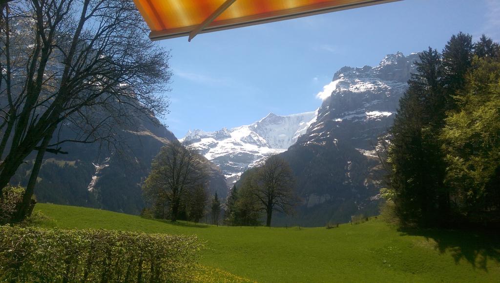 Mom - Alpine Boutique Apartments, Grindelwald Gletscher, Eiger View Terrace Studio Номер фото