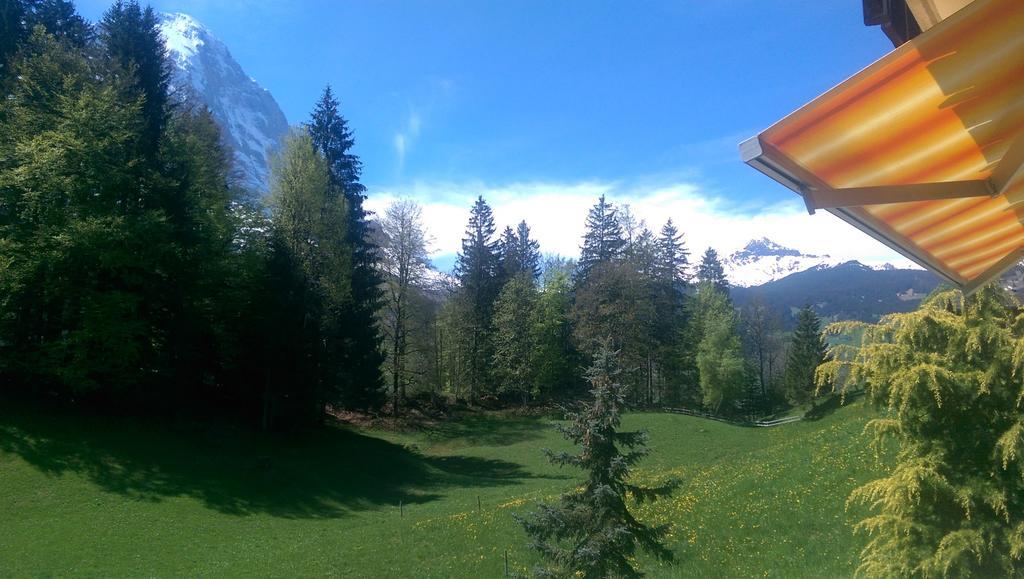 Mom - Alpine Boutique Apartments, Grindelwald Gletscher, Eiger View Terrace Studio Номер фото
