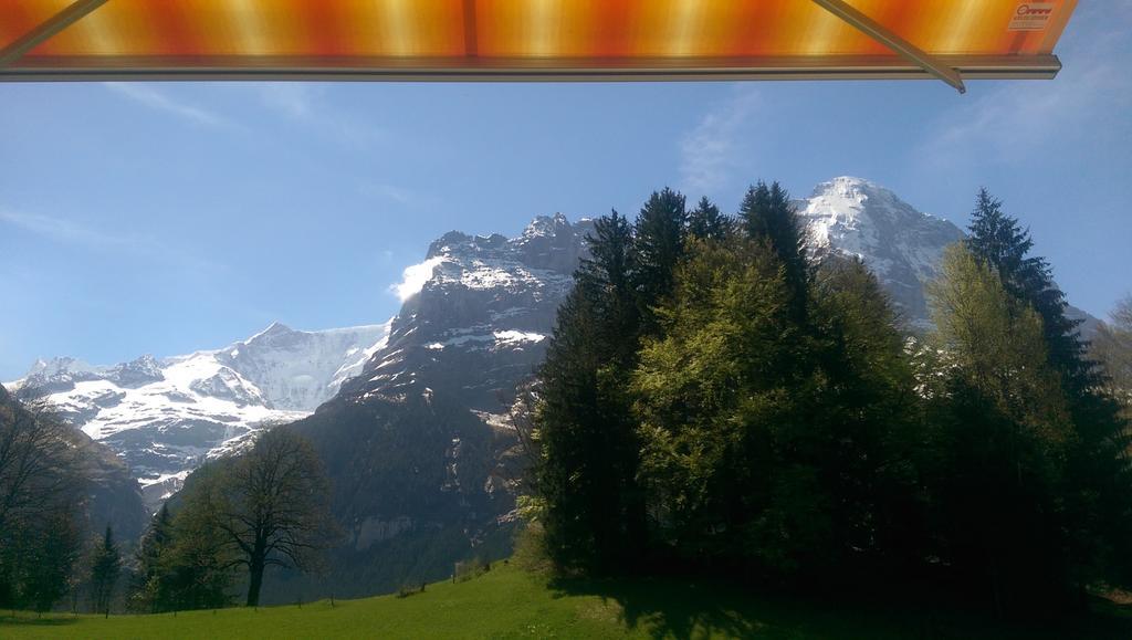Mom - Alpine Boutique Apartments, Grindelwald Gletscher, Eiger View Terrace Studio Номер фото