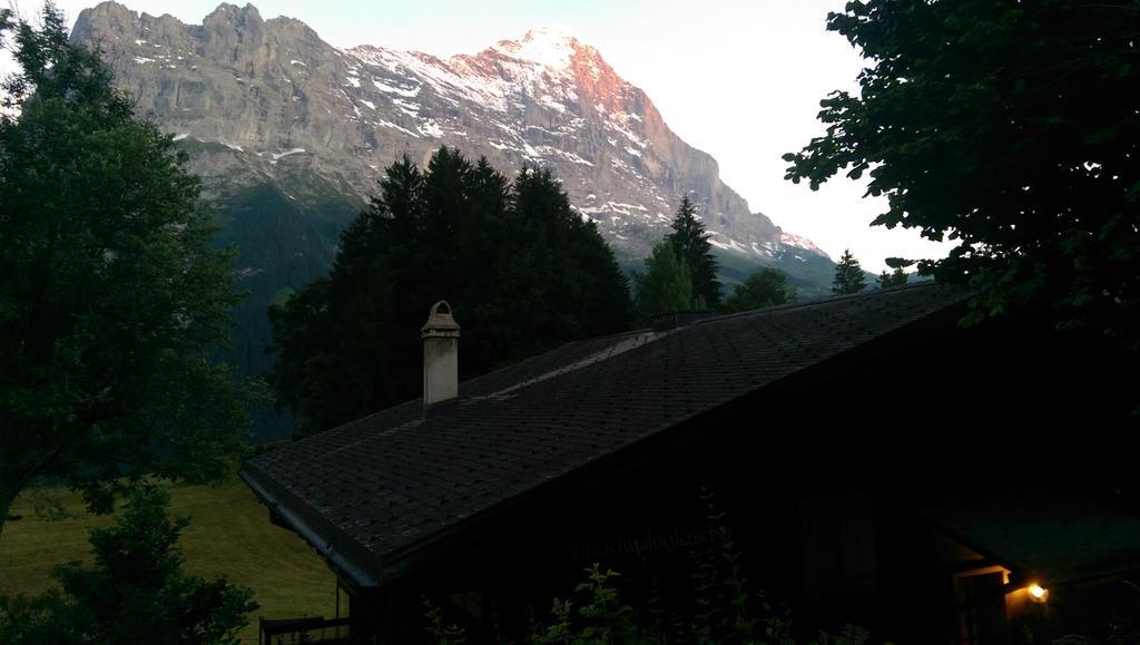 Mom - Alpine Boutique Apartments, Grindelwald Gletscher, Eiger View Terrace Studio Номер фото