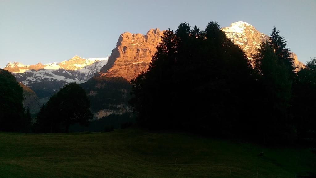 Mom - Alpine Boutique Apartments, Grindelwald Gletscher, Eiger View Terrace Studio Номер фото