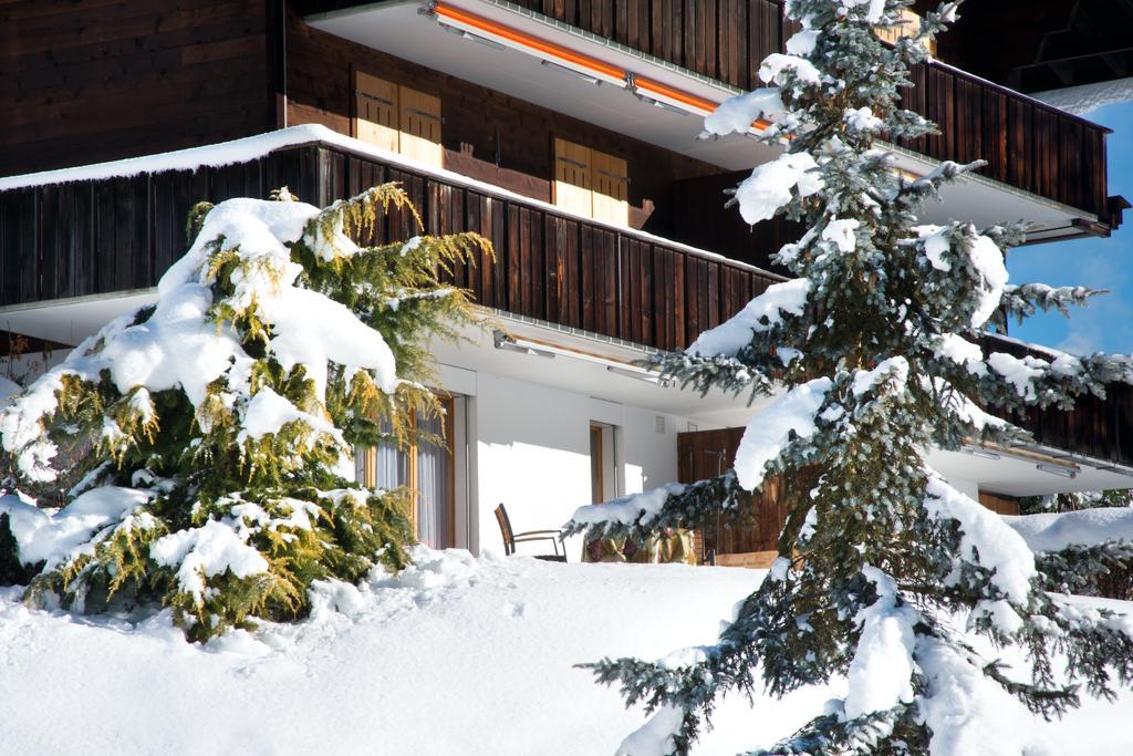 Mom - Alpine Boutique Apartments, Grindelwald Gletscher, Eiger View Terrace Studio Номер фото
